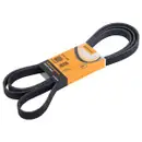CONTINENTAL CTAM 6PK2460 Keilrippenriemen