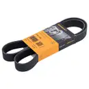 CONTINENTAL CTAM 8PK1230 Keilrippenriemen