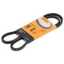 CONTINENTAL CTAM AVX10X1150 Keilriemen