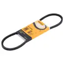 CONTINENTAL CTAM AVX10X800 Keilriemen