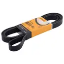 CONTINENTAL CTAM 7PK2682 Keilrippenriemen
