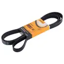 CONTINENTAL CTAM 6PK2271 Keilrippenriemen