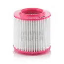 MANN-FILTER C 1343 Luftfilter