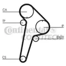 CONTINENTAL CTAM CT891 Zahnriemen