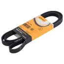 CONTINENTAL CTAM 5PK1815 Keilrippenriemen