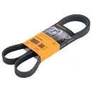 CONTINENTAL CTAM 6PK1352 Keilrippenriemen