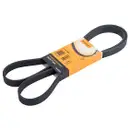 CONTINENTAL CTAM 6PK1653 Keilrippenriemen