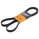 Keilrippenriemen Continental Ctam 6PK1715 für Bmw für Ford für Mitsubishi für VW