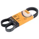 CONTINENTAL CTAM 6PK1145 Keilrippenriemen