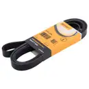 CONTINENTAL CTAM 6PK2205 Keilrippenriemen