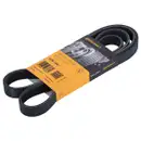 CONTINENTAL CTAM 6PK1840 Keilrippenriemen