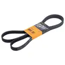 CONTINENTAL CTAM 6PK1850 Keilrippenriemen