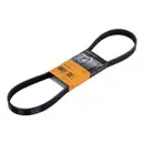CONTINENTAL CTAM 6PK976 Keilrippenriemen