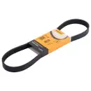 CONTINENTAL CTAM 6PK890 Keilrippenriemen