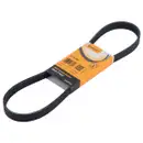 CONTINENTAL CTAM 6PK894 Keilrippenriemen