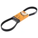 CONTINENTAL CTAM 6PK923 Keilrippenriemen