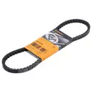 CONTINENTAL CTAM AVX13X785 Keilriemen