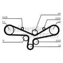 CONTINENTAL CTAM CT920 Zahnriemen