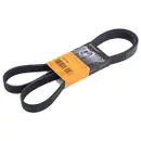 CONTINENTAL CTAM 7PK1642 Keilrippenriemen