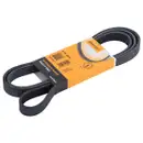 CONTINENTAL CTAM 6PK1915 Keilrippenriemen