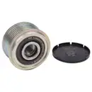 Generatorfreilauf Schaeffler Ina 535 0102 10 für Nissan für Renault für Dacia