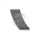 FEBI BILSTEIN 29010 Keilrippenriemen
