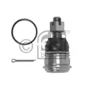FEBI BILSTEIN 42650 Traggelenk für NISSAN