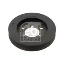 FEBI BILSTEIN 31099 Riemenscheibe (entkoppelt) für PEUGEOT