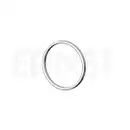 ERNST 499279 Dichtring