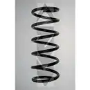 Fahrwerksfeder Spidan 85895 für Ford Hinterachse