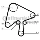 CONTINENTAL CTAM CT1136K1 Zahnriemen Kit