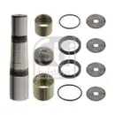 FEBI BILSTEIN 39130 Achsschenkelbolzensatz für DAF