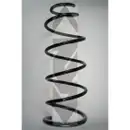 SPIDAN 85008 Fahrwerksfeder