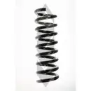 Fahrwerksfeder Spidan 49701 für Mercedes Benz für Mercedes Benz Hinterachse