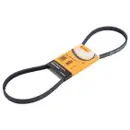 CONTINENTAL CTAM 4PK1041 ELAST Keilrippenriemen