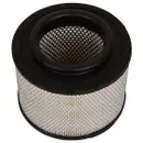 BLUE PRINT ADT32295 Luftfilter
