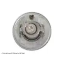 BLUE PRINT ADA109201 Thermostat