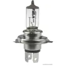 Glühlampe Herth+buss Elparts 89901100 für Daf für Opel für Scania für Volvo