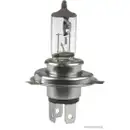 Glühlampe Herth+buss Elparts 89901100 für Daf für Opel für Scania für Volvo