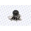 Wasserpumpe Motorkühlung Gk 987360 für Nissan für Renault