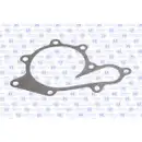 Wasserpumpe Motorkühlung Gk 987360 für Nissan für Renault