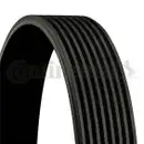 CONTINENTAL CTAM 8PK1786 Keilrippenriemen