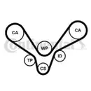CONTINENTAL CTAM CT1015WP1 Zahnriemen Kit + Wasserpumpe