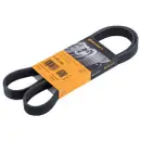 CONTINENTAL CTAM 6PK1244 Keilrippenriemen