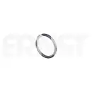 ERNST 493789 Dichtring