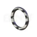 ERNST 493123 Dichtring