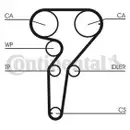 CONTINENTAL CTAM CT877WP1 Zahnriemen Kit + Wasserpumpe