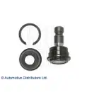 BLUE PRINT Traggelenk ADG08642