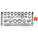 FEBI BILSTEIN 29710 Achsschenkelbolzensatz für DAF
