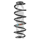 2x Spidan Fahrwerksfeder 86470 Hinterachse VW Scirocco Golf VI